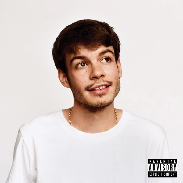 REX ORANGE COUNTY - PONY (1LP)