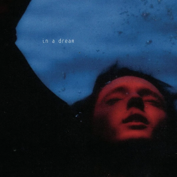 Troye Sivan - In a Dream